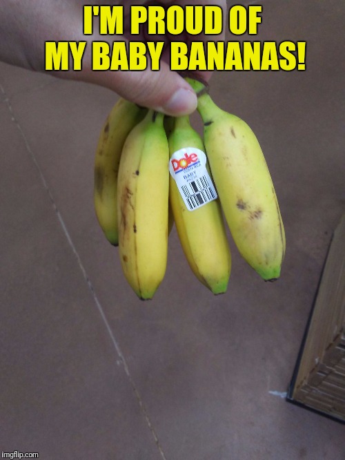 Bb | I'M PROUD OF MY BABY BANANAS! | image tagged in bb | made w/ Imgflip meme maker