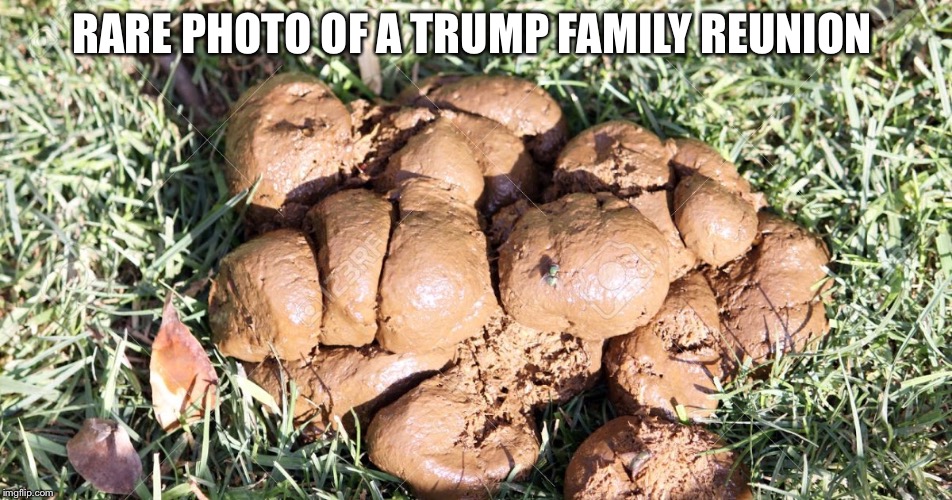 Alabama pile of shit  | RARE PHOTO OF A TRUMP FAMILY REUNION | image tagged in alabama pile of shit | made w/ Imgflip meme maker