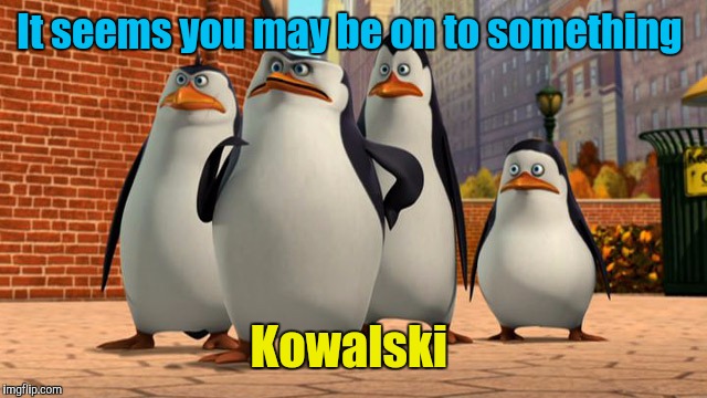 It seems you may be on to something Kowalski | made w/ Imgflip meme maker