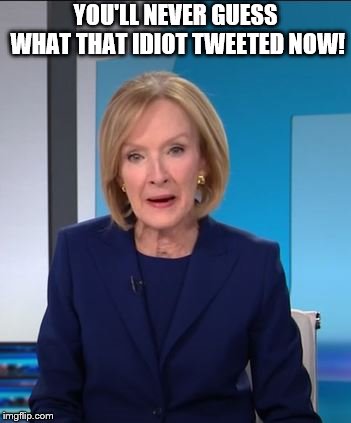 YOU'LL NEVER GUESS WHAT THAT IDIOT TWEETED NOW! | image tagged in judy woodruff | made w/ Imgflip meme maker