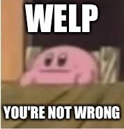 Kirby | WELP YOU'RE NOT WRONG | image tagged in kirby | made w/ Imgflip meme maker