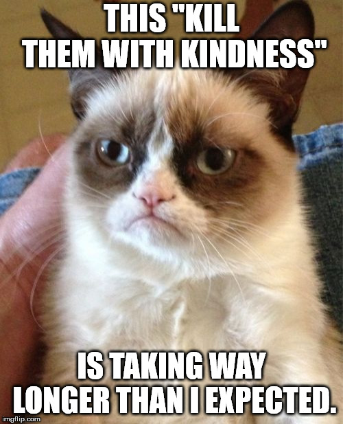 When you need to start thinking about "Plan B" | THIS "KILL THEM WITH KINDNESS"; IS TAKING WAY LONGER THAN I EXPECTED. | image tagged in memes,grumpy cat | made w/ Imgflip meme maker