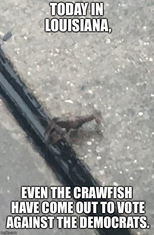 Found outside a polling place | TODAY IN LOUISIANA, EVEN THE CRAWFISH HAVE COME OUT TO VOTE AGAINST THE DEMOCRATS. | image tagged in crawfish hate dems,suck it libs | made w/ Imgflip meme maker