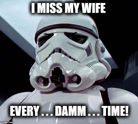 Stormtrooper | I MISS MY WIFE; EVERY . . . DAMM . . . TIME! | image tagged in stormtrooper | made w/ Imgflip meme maker