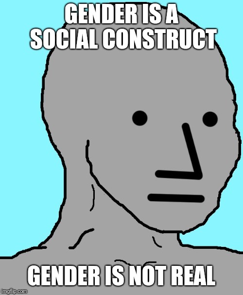 NPC Meme | GENDER IS A SOCIAL CONSTRUCT; GENDER IS NOT REAL | image tagged in memes,npc | made w/ Imgflip meme maker