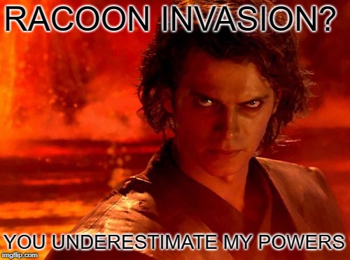You Underestimate My Power Meme | RACOON INVASION? YOU UNDERESTIMATE MY POWERS | image tagged in memes,you underestimate my power | made w/ Imgflip meme maker