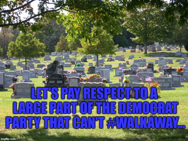 Pour one out for the people who don't like the Democrats, but can't help but vote for them, even though they're dead. | LET'S PAY RESPECT TO A LARGE PART OF THE DEMOCRAT PARTY THAT CAN'T #WALKAWAY... | image tagged in cemetery,democratic party,walk away,left wing,lefty | made w/ Imgflip meme maker