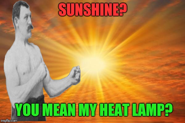 sunshine | SUNSHINE? YOU MEAN MY HEAT LAMP? | image tagged in sunshine | made w/ Imgflip meme maker