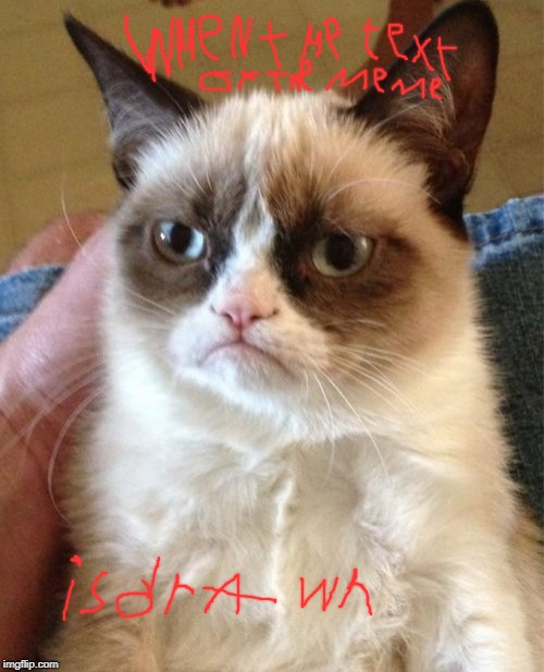 Grumpy Cat Meme | When the text of the meme is drawn | image tagged in memes,grumpy cat | made w/ Imgflip meme maker