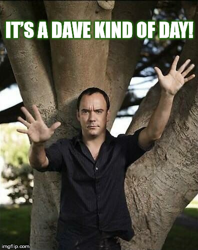 IT’S A DAVE KIND OF DAY! | IT’S A DAVE KIND OF DAY! | image tagged in dave,dave matthews,dave matthews band,tree,its a dave kind of day,dmb | made w/ Imgflip meme maker