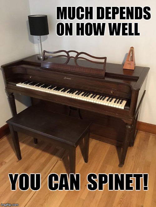 MUCH DEPENDS ON HOW WELL YOU  CAN  SPINET! | made w/ Imgflip meme maker