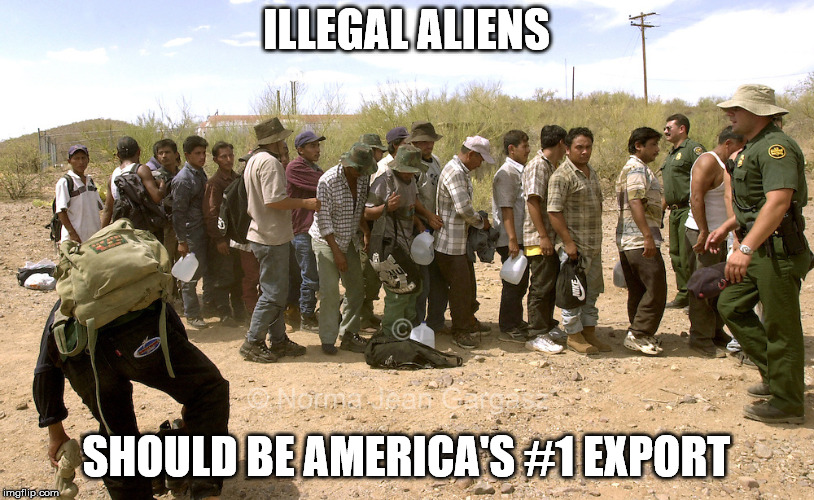 ILLEGAL ALIENS; SHOULD BE AMERICA'S #1 EXPORT | image tagged in illegal aliens | made w/ Imgflip meme maker