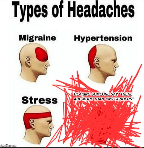 Types of Headaches meme.