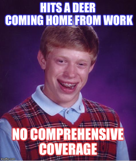 Bad Trip Brian | HITS A DEER COMING HOME FROM WORK; NO COMPREHENSIVE COVERAGE | image tagged in memes,bad luck brian,car crash,funny | made w/ Imgflip meme maker