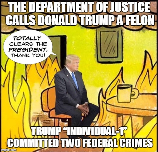 The Department of Justice Calls Donald Trump a Felon | THE DEPARTMENT OF JUSTICE CALLS DONALD TRUMP A FELON; TRUMP “INDIVIDUAL-1” COMMITTED TWO FEDERAL CRIMES | image tagged in trump,felon,individual1,hush money,russia collusion | made w/ Imgflip meme maker