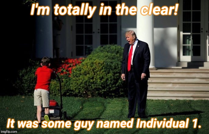 NO COLLUSION* | I'm totally in the clear! It was some guy named Individual 1. | image tagged in trump lawn mower,collusion,individual 1,felon,felony | made w/ Imgflip meme maker