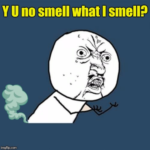 Y U no smell what I smell? | made w/ Imgflip meme maker
