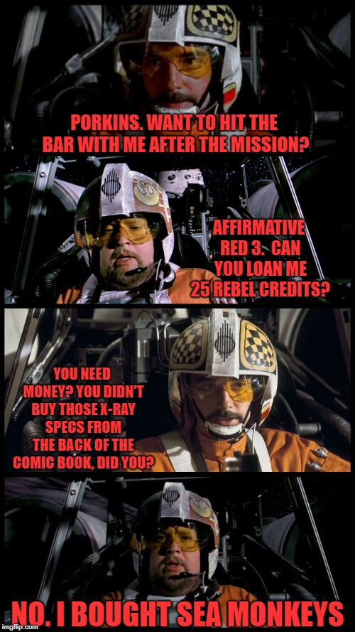 Star Wars Porkins | PORKINS. WANT TO HIT THE BAR WITH ME AFTER THE MISSION? AFFIRMATIVE RED 3.  CAN YOU LOAN ME 25 REBEL CREDITS? YOU NEED MONEY? YOU DIDN'T BUY THOSE X-RAY SPECS FROM THE BACK OF THE COMIC BOOK, DID YOU? NO. I BOUGHT SEA MONKEYS | image tagged in star wars porkins,memes,porkins,star wars | made w/ Imgflip meme maker