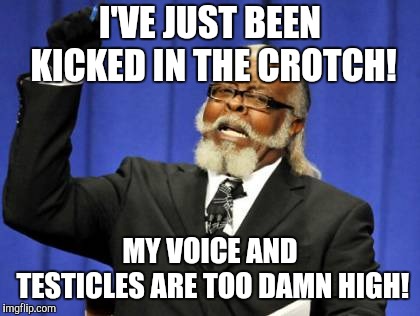 Too Damn High | I'VE JUST BEEN KICKED IN THE CROTCH! MY VOICE AND TESTICLES ARE TOO DAMN HIGH! | image tagged in memes,too damn high | made w/ Imgflip meme maker