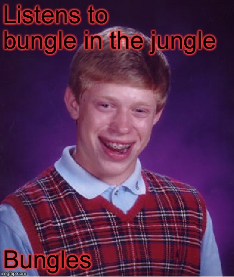 Bad Luck Brian Meme | Listens to bungle in the jungle Bungles | image tagged in memes,bad luck brian | made w/ Imgflip meme maker