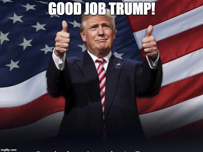 GoodConservativeBoi52 meme #2 | GOOD JOB TRUMP! | image tagged in donald trump thumbs up,memes,dump trump,donald trump is an idiot,trump is an asshole,impeach trump | made w/ Imgflip meme maker