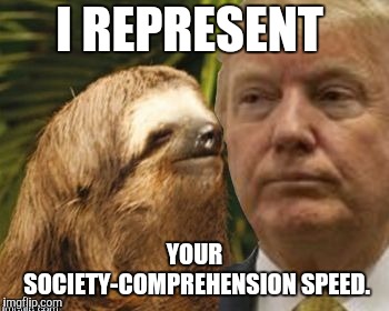 Political advice sloth | I REPRESENT; YOUR SOCIETY-COMPREHENSION SPEED. | image tagged in political advice sloth | made w/ Imgflip meme maker
