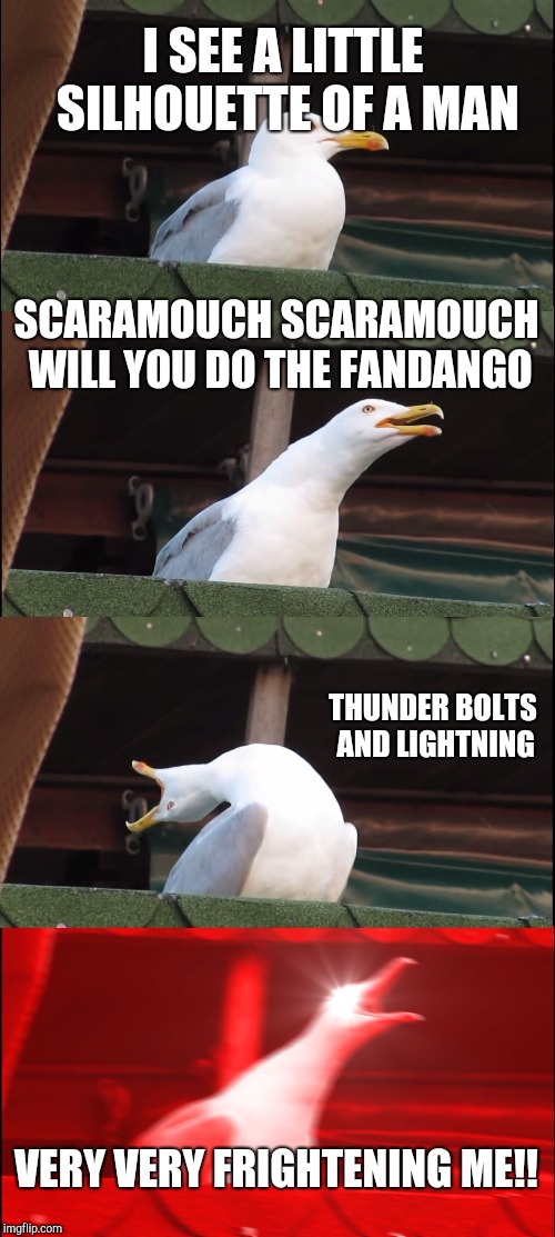 Inhaling Seagull | I SEE A LITTLE SILHOUETTE OF A MAN; SCARAMOUCH SCARAMOUCH WILL YOU DO THE FANDANGO; THUNDER BOLTS AND LIGHTNING; VERY VERY FRIGHTENING ME!! | image tagged in memes,inhaling seagull | made w/ Imgflip meme maker