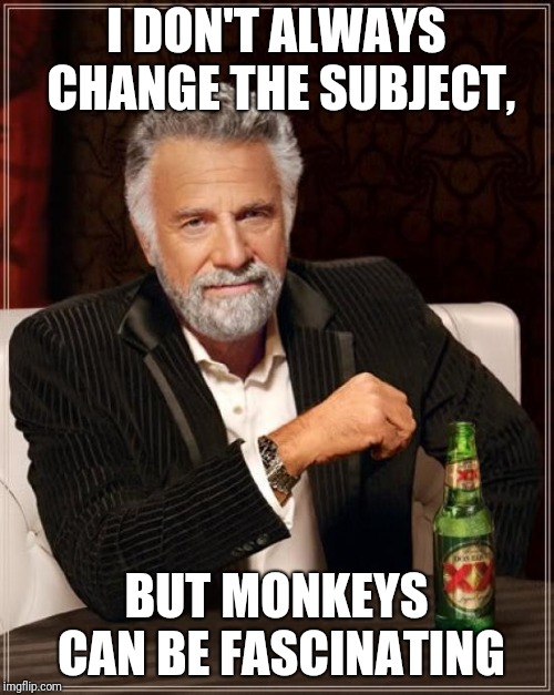 The Most Interesting Man In The World | I DON'T ALWAYS CHANGE THE SUBJECT, BUT MONKEYS CAN BE FASCINATING | image tagged in memes,the most interesting man in the world | made w/ Imgflip meme maker