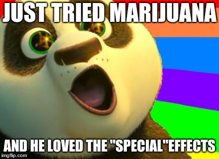 Kung Fu Panda | JUST TRIED MARIJUANA; AND HE LOVED THE "SPECIAL"EFFECTS | image tagged in kung fu panda | made w/ Imgflip meme maker