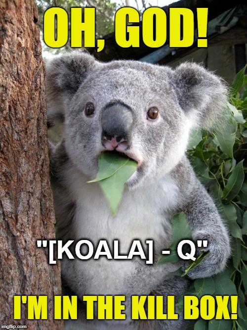 [KOALA] QAnon | OH, GOD! "[KOALA] - Q"; I'M IN THE KILL BOX! | image tagged in memes,surprised koala,qanon,funny memes,political meme | made w/ Imgflip meme maker