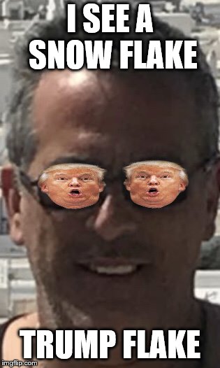 I see a snow flake | I SEE A SNOW FLAKE; TRUMP FLAKE | image tagged in snowflake,trump,trump snow flake,funny,funny memes,funny meme | made w/ Imgflip meme maker