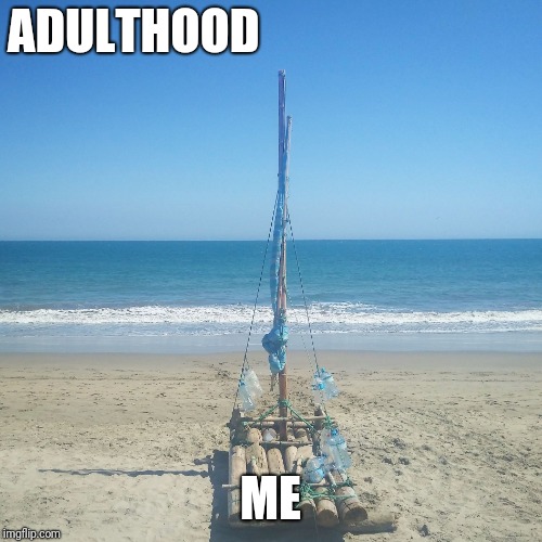 Me v. Adulthood | ADULTHOOD; ME | image tagged in me v adulthood | made w/ Imgflip meme maker