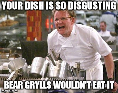 Gordon Ramsey meme | YOUR DISH IS SO DISGUSTING; BEAR GRYLLS WOULDN'T EAT IT | image tagged in gordon ramsey meme | made w/ Imgflip meme maker