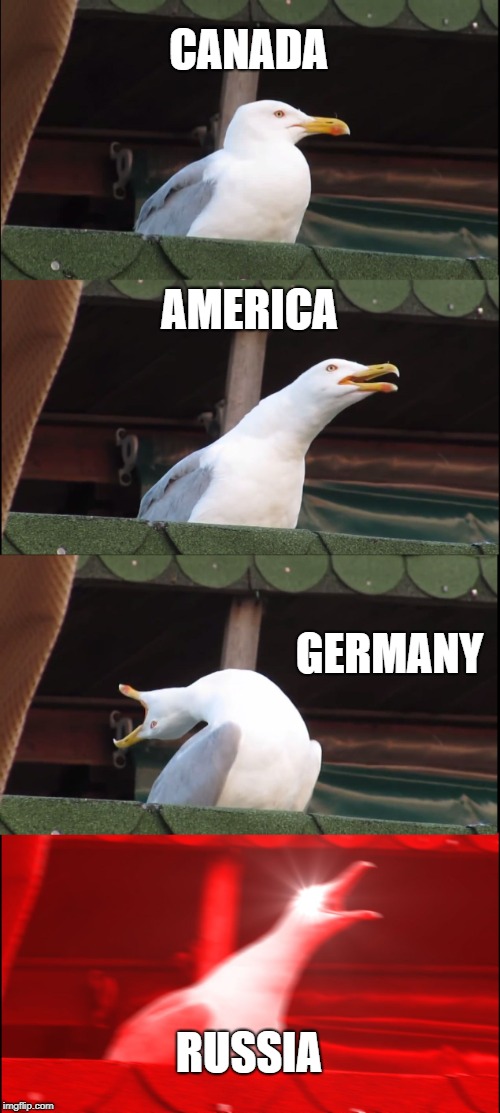 Inhaling Seagull | CANADA; AMERICA; GERMANY; RUSSIA | image tagged in memes,inhaling seagull | made w/ Imgflip meme maker