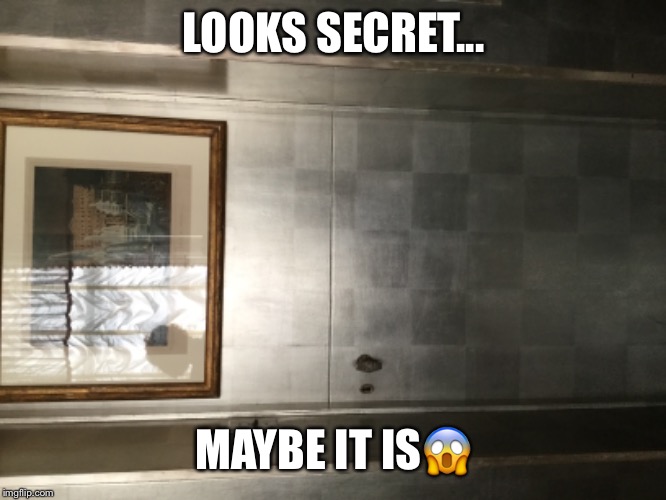 James bond | LOOKS SECRET... MAYBE IT IS😱 | image tagged in funny memes | made w/ Imgflip meme maker