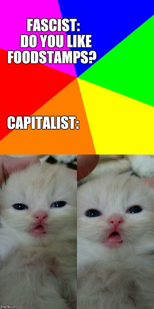 FASCIST:  DO YOU LIKE FOODSTAMPS? CAPITALIST: | image tagged in memes,blank colored background | made w/ Imgflip meme maker