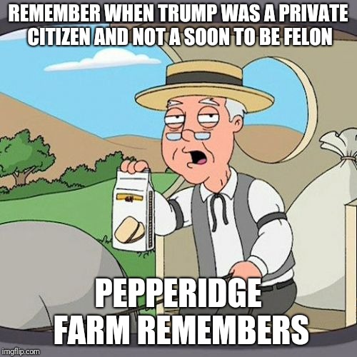 Pepperidge Farm Remembers Meme | REMEMBER WHEN TRUMP WAS A PRIVATE CITIZEN AND NOT A SOON TO BE FELON; PEPPERIDGE FARM REMEMBERS | image tagged in memes,pepperidge farm remembers | made w/ Imgflip meme maker