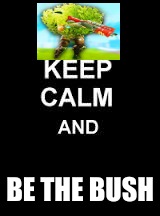 Keep calm blank | BE THE BUSH | image tagged in keep calm blank | made w/ Imgflip meme maker