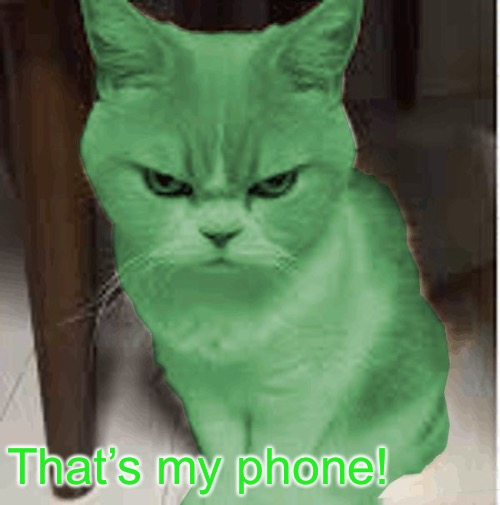 RayCat angry | That’s my phone! | image tagged in raycat angry | made w/ Imgflip meme maker