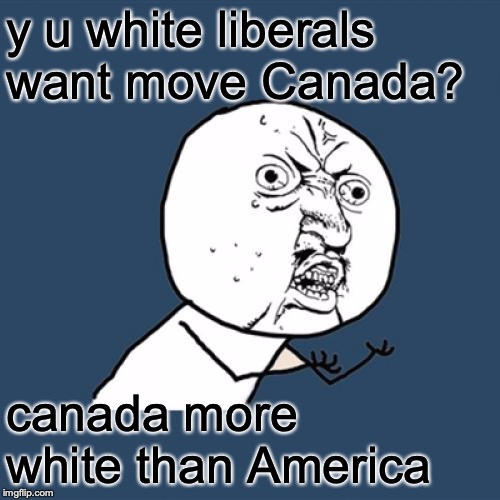 Y U No Meme | y u white liberals want move Canada? canada more white than America | image tagged in memes,y u no | made w/ Imgflip meme maker