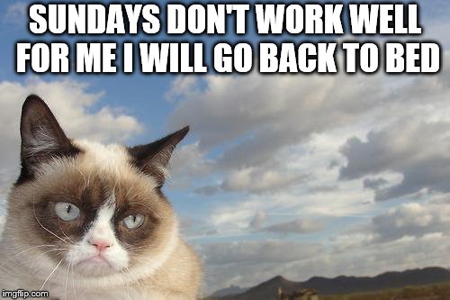 sunday | SUNDAYS DON'T WORK WELL FOR ME I WILL GO BACK TO BED | image tagged in memes,grumpy cat sky,grumpy cat,meme,sunda,funny meme | made w/ Imgflip meme maker