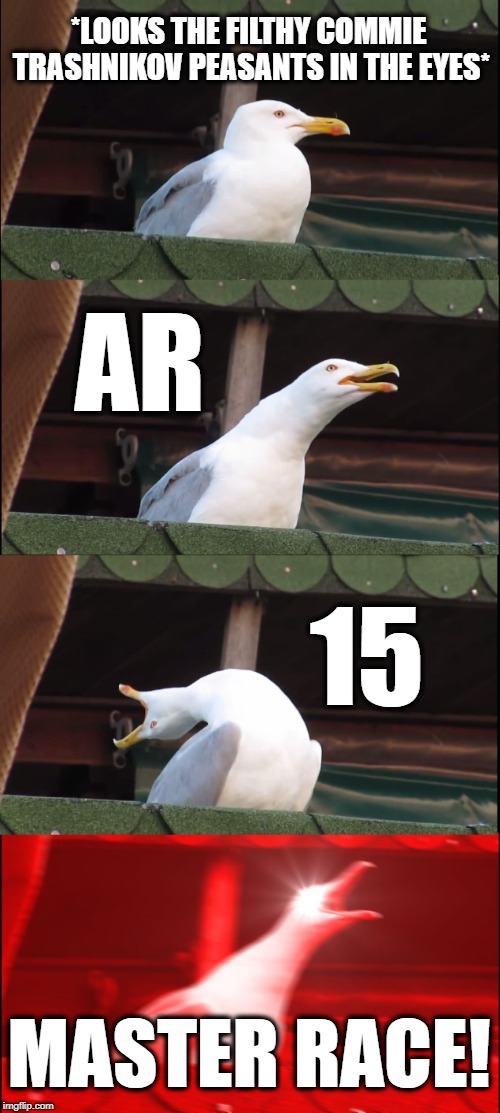 AR > AK | *LOOKS THE FILTHY COMMIE TRASHNIKOV PEASANTS IN THE EYES*; AR; 15; MASTER RACE! | image tagged in memes,inhaling seagull | made w/ Imgflip meme maker