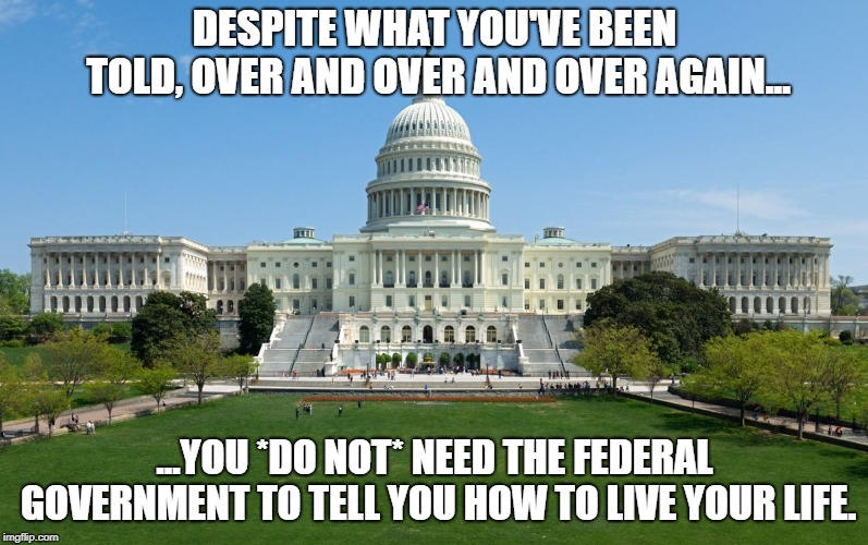 capitol hill | DESPITE WHAT YOU'VE BEEN TOLD, OVER AND OVER AND OVER AGAIN... ...YOU *DO NOT* NEED THE FEDERAL GOVERNMENT TO TELL YOU HOW TO LIVE YOUR LIFE. | image tagged in capitol hill | made w/ Imgflip meme maker