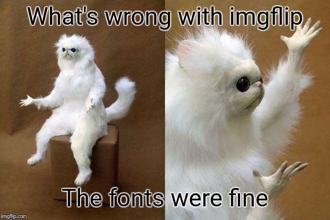This is ridiculous.  | What's wrong with imgflip; The fonts were fine | image tagged in taxidermy cat,wtf,we have to go back | made w/ Imgflip meme maker