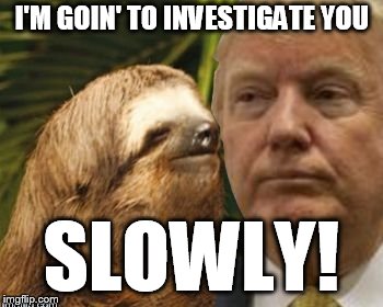 Political advice sloth | I'M GOIN' TO INVESTIGATE YOU; SLOWLY! | image tagged in political advice sloth | made w/ Imgflip meme maker