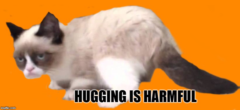 HUGGING IS HARMFUL | made w/ Imgflip meme maker