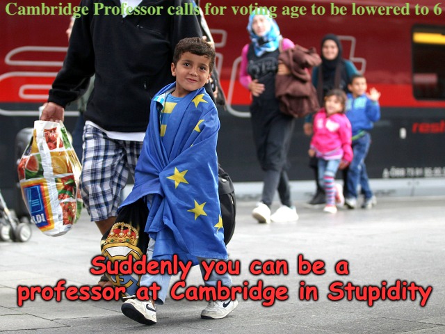 Cambridge professor calls for voting age to be lowered to 6 | Suddenly you can be a professor at Cambridge in Stupidity | image tagged in cambridge,professor,stupidity | made w/ Imgflip meme maker