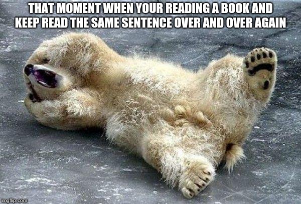 Oh nooo polar bear | THAT MOMENT WHEN YOUR READING A BOOK AND KEEP READ THE SAME SENTENCE OVER AND OVER AGAIN | image tagged in oh nooo polar bear | made w/ Imgflip meme maker
