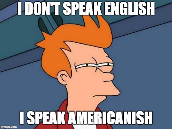Futurama Fry | I DON'T SPEAK ENGLISH; I SPEAK AMERICANISH | image tagged in memes,futurama fry | made w/ Imgflip meme maker