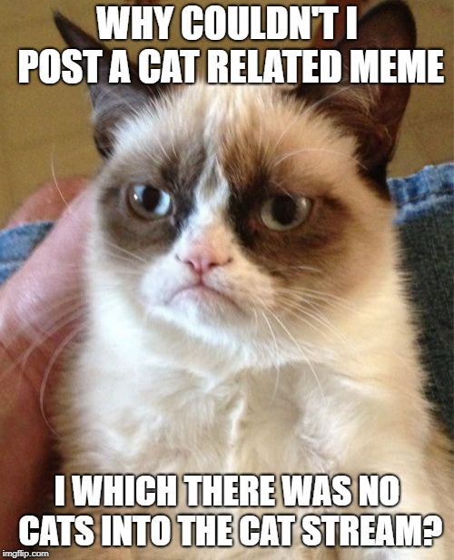 And this one isn't about cats only a picture of a cat | WHY COULDN'T I POST A CAT RELATED MEME; I WHICH THERE WAS NO CATS INTO THE CAT STREAM? | image tagged in memes,grumpy cat | made w/ Imgflip meme maker